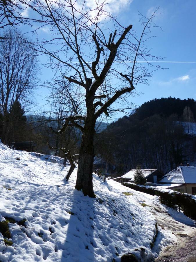 Gite Aux Sapins Sainte-Marie-aux-Mines Kültér fotó